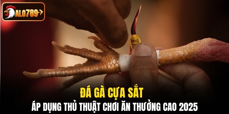 Đá gà cựa sắt