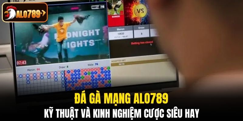 Đá gà mạng