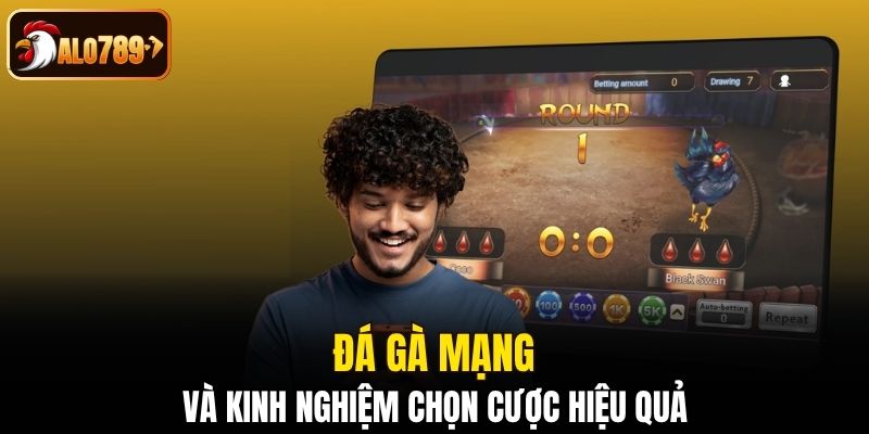 Đá gà mạng và kinh nghiệm chọn cược hiệu quả
