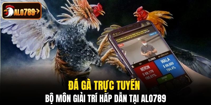 Đá gà trực tuyến bộ môn giải trí hấp dẫn tại Alo789