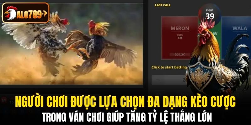 Người chơi được lựa chọn đa dạng kèo cược trong ván chơi