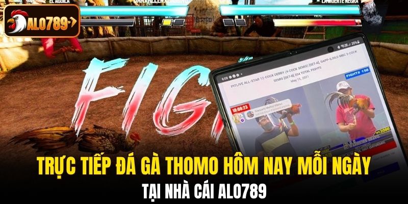 Thomo hôm nay